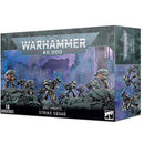 Grey Knights Strike Squad