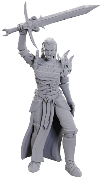 D&D UNPAINTED MINIS WV25 BLACKGUARD