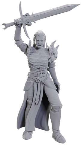 D&D UNPAINTED MINIS WV25 BLACKGUARD