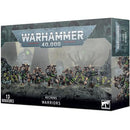 Necron Warriors