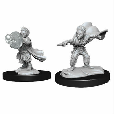 PF Unpainted Minis WV14 Halfling Wizard Male