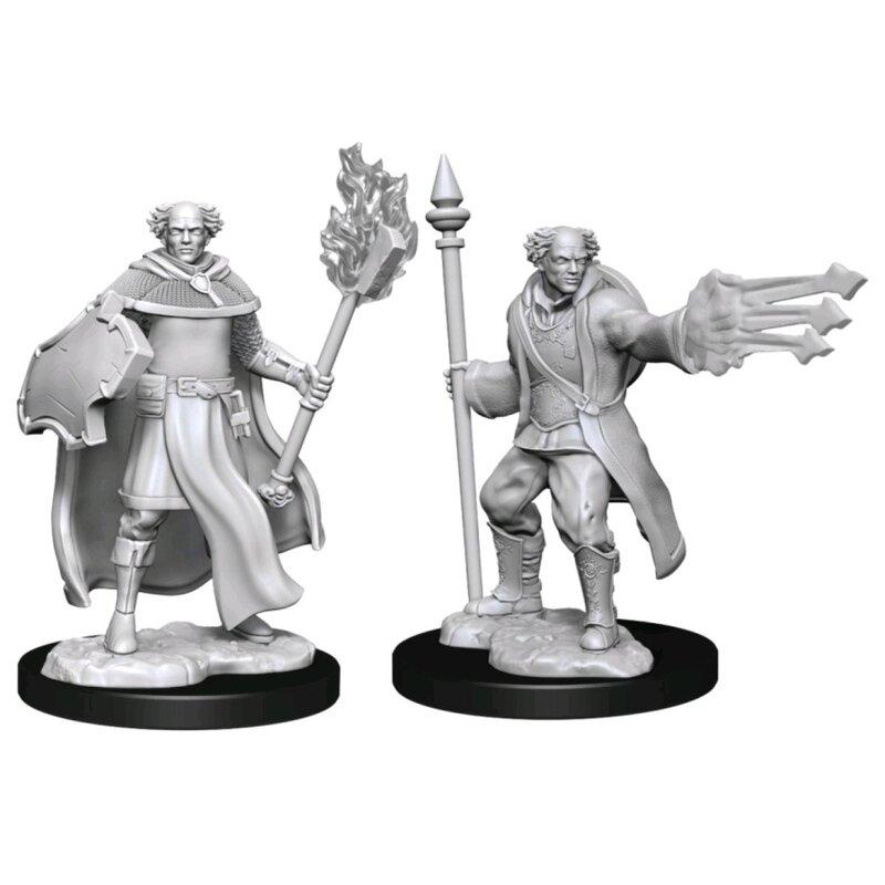 D&D Unpainted Minis WV13 Cleric/Wizard Male