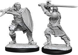 D&D Unpainted Minis WV14 Human Paladin Male