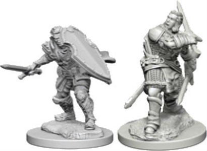 D&D Unpainted Minis WV3 Male Human Paladin