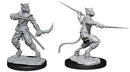 D&D Unpainted Minis WV7 Male Tabaxi Rogue