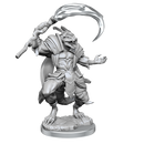 PF Unpainted Minis WV17 SERPENTFOLK