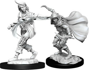 PF Unpainted Minis WV14 Human Rogue Female