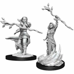 D&D Unpainted Minis WV14 Human Druid Female