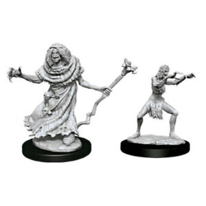 D&D Unpainted Minis WV12 Sea Hag And Bheur Hag