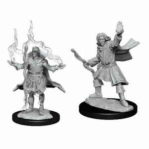 PF Unpainted Minis WV14 Elf Sorcerer Male