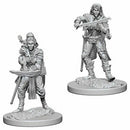 PF Unpainted Minis WV4 Elf Female Bard
