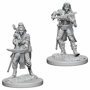 PF Unpainted Minis WV4 Elf Female Bard