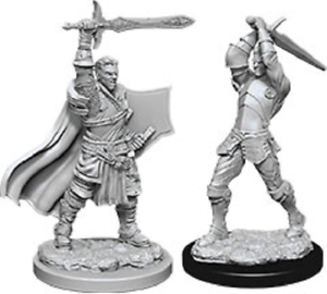 D&D Unpainted Minis WV12 Male Human Paladin