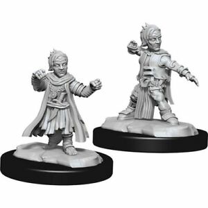 PF Unpainted Minis WV15 Halfling Monk Male