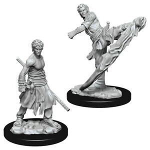 D&D Unpainted Minis WV10 Male Half-Elf Monk