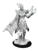 D&D Unpainted Minis WV8 Cloud Giant