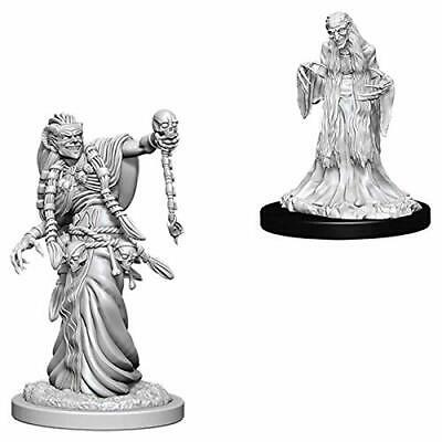D&D Unpainted Minis WV6 Green Hag/Night Hag