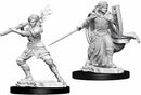 D&D Unpainted Minis WV10 Female Human Paladin