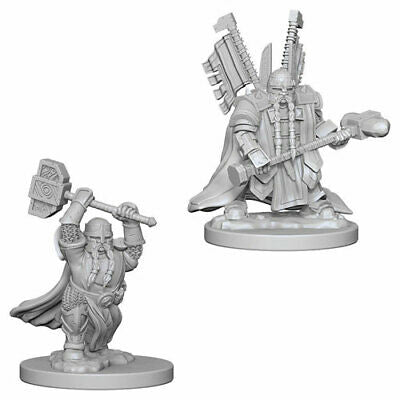 D&D Unpainted Minis WV4 Dwarf Male Paladin