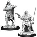 PF Unpainted Minis WV13 Human Rogue Male