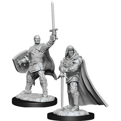 D&D Unpainted Minis WV13 Human Paladin Male