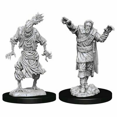 D&D Unpainted Minis WV14 Scarecrow/Stone Cursed