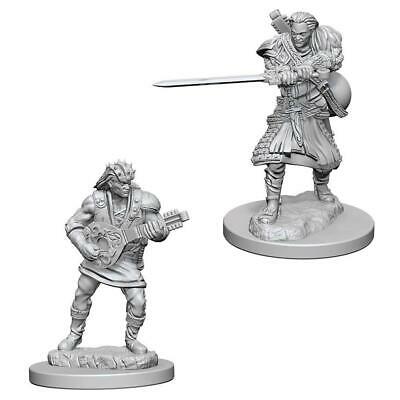 D&D Unpainted Minis WV4 Male Human Bard