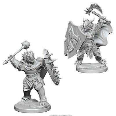 D&D Unpainted Minis WV4 Dragonborn Male Paladin