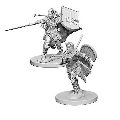 RETIRED: PF Unpainted Minis WV1 Female Human Paladin