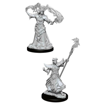 PF Unpainted Minis WV11 Male Human Sorcerer