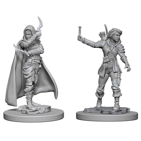 PF Unpainted Minis WV1 Female Human Rogue