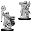 D&D Unpainted Minis WV8 Female Dragonborn Sorcerer